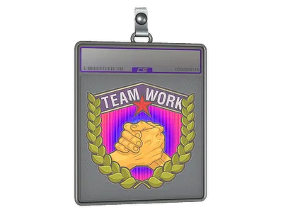 Sticker Slab | Teamwork (Holo)