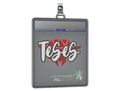 Sticker Slab | TeSeS | Antwerp 2022