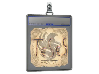 Sticker Slab | TeSeS | Austin 2025