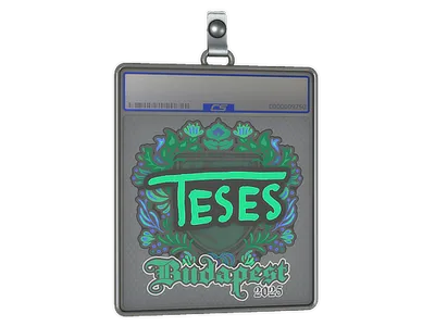 Sticker Slab | TeSeS | Budapest 2025