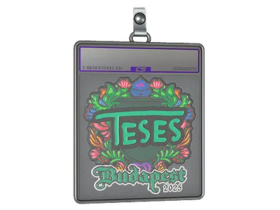 Sticker Slab | TeSeS (Embroidered) | Budapest 2025