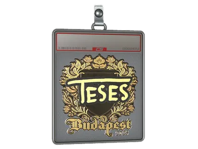 Sticker Slab | TeSeS (Gold) | Budapest 2025