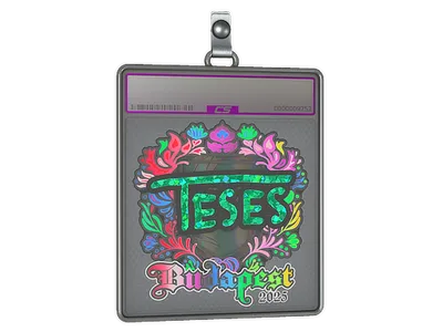 Sticker Slab | TeSeS (Holo) | Budapest 2025