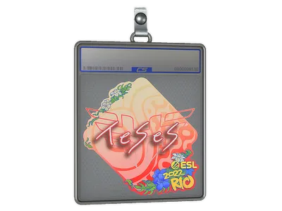 Sticker Slab | TeSeS | Rio 2022