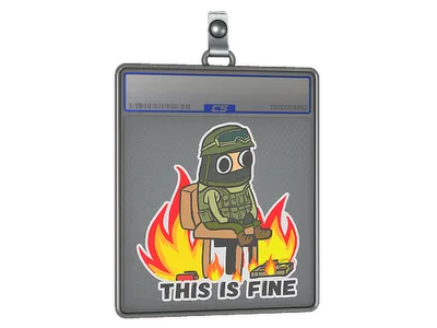 Sticker Slab | This Is Fine (CT)