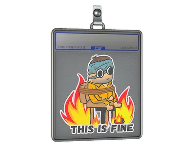 Sticker Slab | This Is Fine (H)