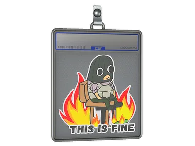 Sticker Slab | This Is Fine (T)