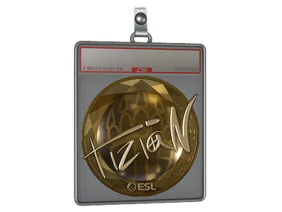 Sticker Slab | tiziaN (Gold) | Katowice 2019