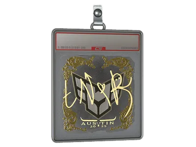Sticker Slab | tN1R (Gold) | Austin 2025