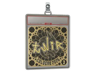 Sticker Slab | tN1R (Gold, Ranked) | Cologne 2026