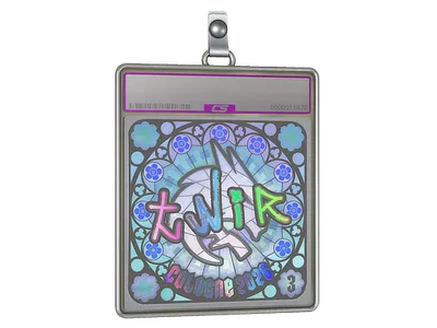 Sticker Slab | tN1R (Holo, Ranked) | Cologne 2026