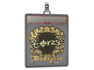 Sticker Slab | torzsi (Gold) | Budapest 2025