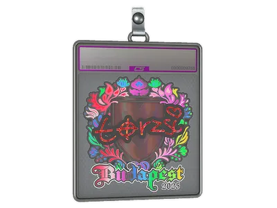 Sticker Slab | torzsi (Holo) | Budapest 2025