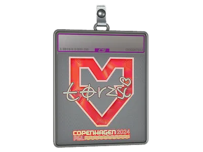 Sticker Slab | torzsi (Holo) | Copenhagen 2024