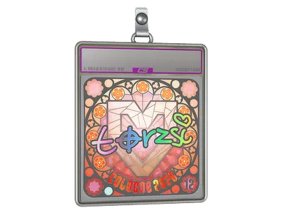 Sticker Slab | torzsi (Holo, Ranked) | Cologne 2026