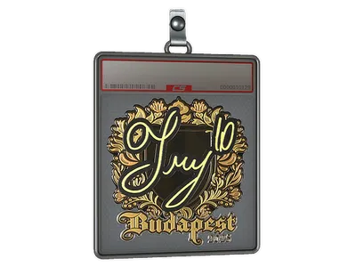 Sticker Slab | TRY (Gold) | Budapest 2025