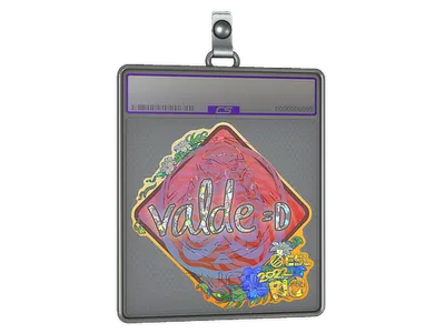 Sticker Slab | v4lde (Glitter) | Rio 2022