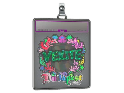 Sticker Slab | vexite (Holo) | Budapest 2025