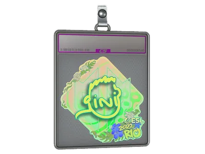 Sticker Slab | VINI (Holo) | Rio 2022