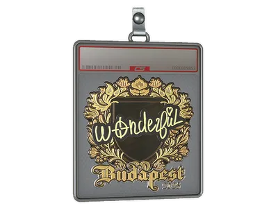 Sticker Slab | w0nderful (Gold) | Budapest 2025