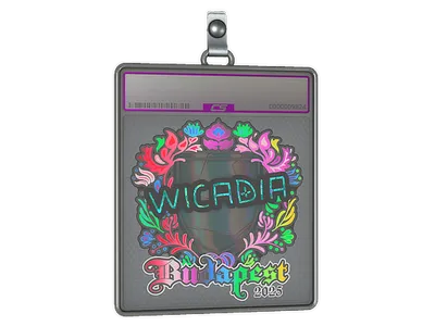 Sticker Slab | Wicadia (Holo) | Budapest 2025