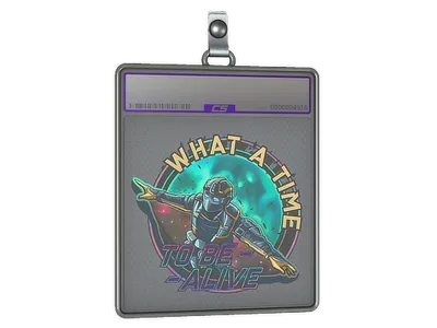 Sticker Slab | Wingsuit (Holo)