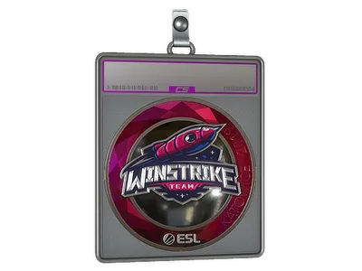 Sticker Slab | Winstrike Team (Foil) | Katowice 2019