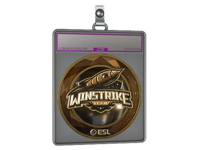 Sticker Slab | Winstrike Team (Gold) | Katowice 2019