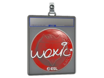 Sticker Slab | woxic | Katowice 2019