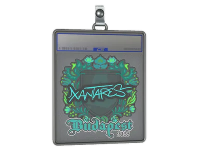 Sticker Slab | XANTARES | Budapest 2025