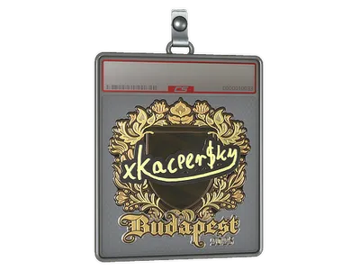 Sticker Slab | xKacpersky (Gold) | Budapest 2025