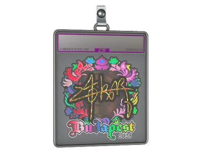 Sticker Slab | z4KR (Holo) | Budapest 2025