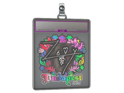 Sticker Slab | zevy (Holo) | Budapest 2025