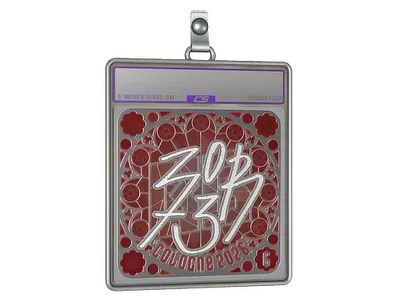 Sticker Slab | zorte (Foil, Ranked) | Cologne 2026