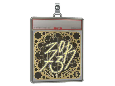 Sticker Slab | zorte (Gold, Ranked) | Cologne 2026