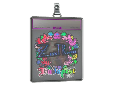 Sticker Slab | ztr (Holo) | Budapest 2025