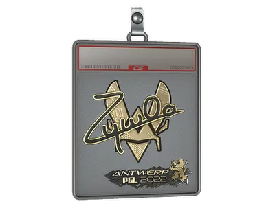 Sticker Slab | ZywOo (Gold) | Antwerp 2022