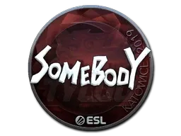 Sticker | somebody (Foil) | Katowice 2019