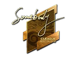 Sticker | somebody (Gold) | Boston 2018