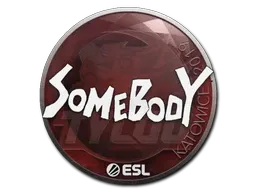 Sticker | somebody | Katowice 2019