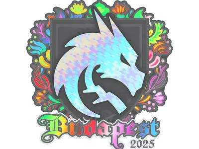 Sticker | Team Spirit (Holo) | Budapest 2025