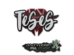 Sticker | TeSeS | Antwerp 2022