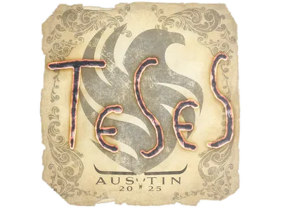 Sticker | TeSeS | Austin 2025