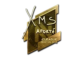 Sticker | xms (Gold) | Boston 2018