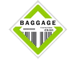 The Baggage Collection