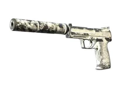 USP-S | Whiteout