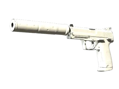 USP-S | Whiteout (Well-Worn)