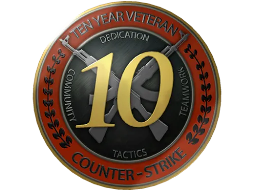 10 Year Veteran Coin