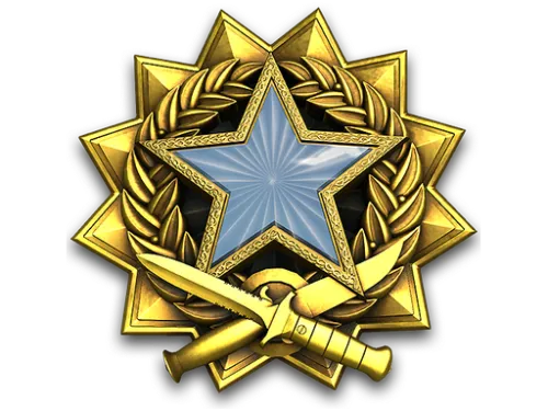 2017 Service Medal