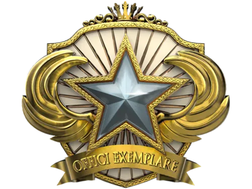 2018 Service Medal